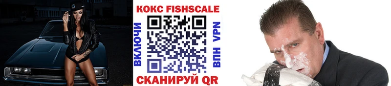 Купить закладки Терек Cocaine Fish Scale