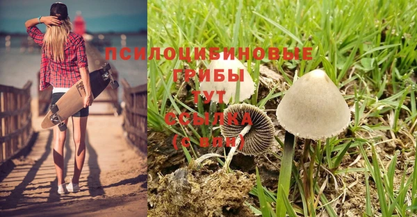 меф Кинешма